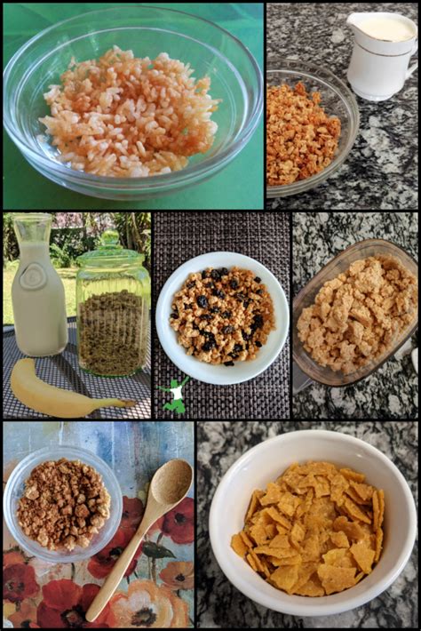 7 Homemade Cold Cereal Recipes | Healthy Home Economist