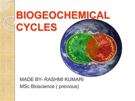 Ecological Cycles