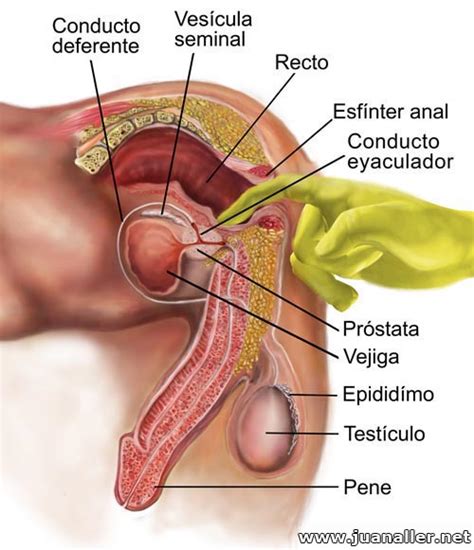 De Alguna Manera Entre Placeres Y Pudores De Alguna Manera