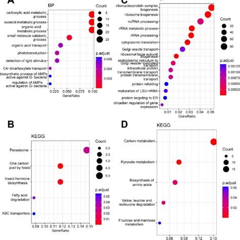 Biological Process Enrichment Analysis Of The Common Degs A The