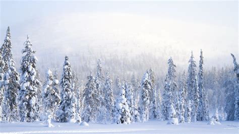 Native American Winter Wallpapers - Top Free Native American Winter ...