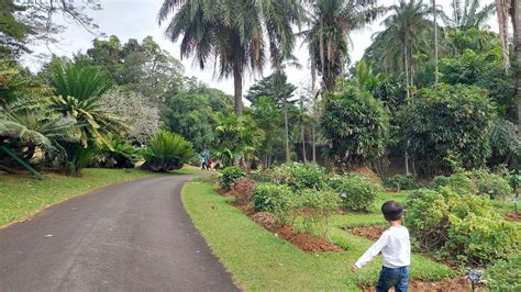 Botanical Garden- Peradeniya | Explore its Diverse Flora