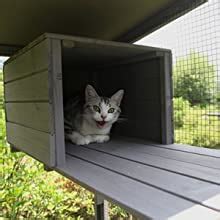 Holz Katzenhaus F R Den Au En Und Innenbereich Gro Es Katzengehege