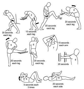 Pin By Samantha Begay On Health Fitness Lower Back Exercises Back