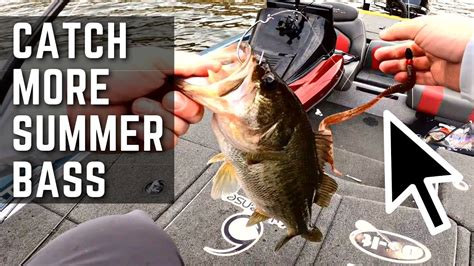 What You NEED To Look For To Catch Summer Bass YouTube