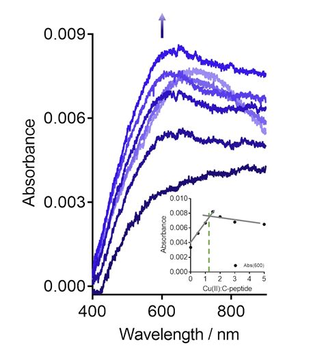 Quantifying The Binding Interactions Between Cu Ii And Peptide Residues In The Presence And