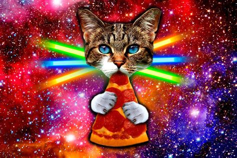 Pizza Cat Space Cat Cute Cats Crazy Cat Digital Art By Johnnie