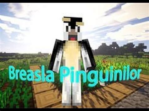 Minecraft Breasla Pinguinilor Ne Stabilim La Sat Cu Inca O Echipa