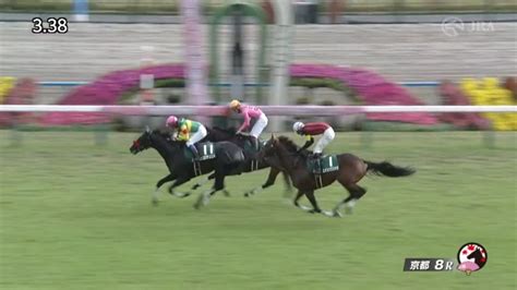 【競馬】キタサンブラック産駒が障害重賞初勝利！エコロデュエルが京都ジャンプsを制す！ ウマ娘うまぴょい速報