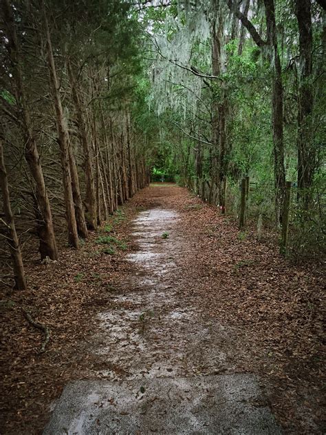 Hole 16 Jonesville Park Gainesville Fl R Discgolf