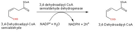 Eawag Bbd Reaction Reacid R1748