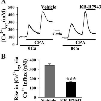 Inhibition Of Na Ca Exchanger With Kb R Attenuates Store