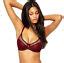 Love Claudette Fishnet Underwire Bra Rouge Noir Women S Sexy Lingerie Intimate EBay