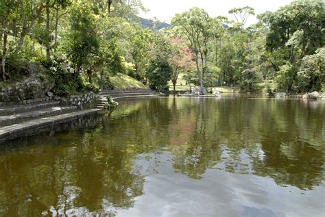 Parque Nacional da Serra dos Órgãos | Garden water feature, Garden ...