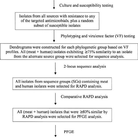 Extraintestinal Pathogenic Escherichia Coli Expec Status And Download Table