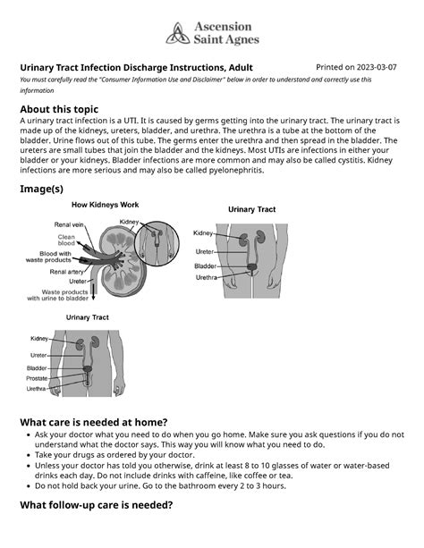 UTI Discharge Instructions Urinary Tract Infection Discharge