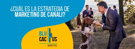 Cu L Es La Estrategia De Marketing De Canali Argentina