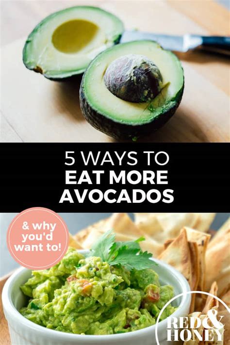 Quick And Easy Ways To Eat More Avocados Red And Honey