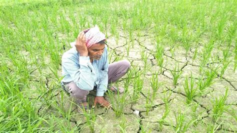 सूखा प्रभावित किसानों को योगी सरकार ने दी बड़ी राहत नहीं लिया जाएगा