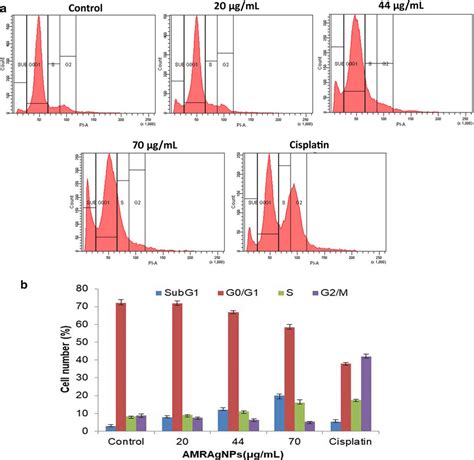 Cell Cycle Distribution Of HCT 116 Cells Treated With AMRAgNPs A