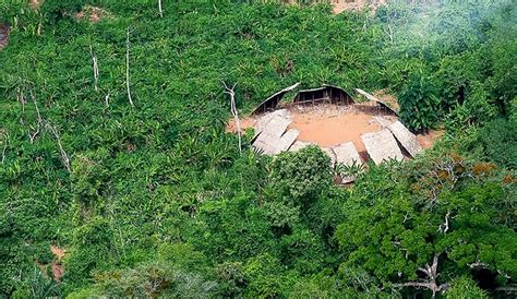 Desmatamento em áreas protegidas da Amazônia cai 73 em 2023