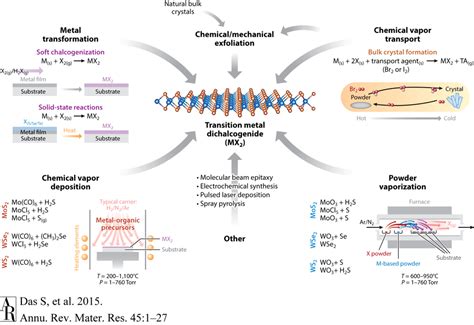 Relevant Reviews The Terrones Research Group