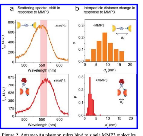 Figure 2 From Reversible Aptamer Au Plasmon Rulers For Secreted Single