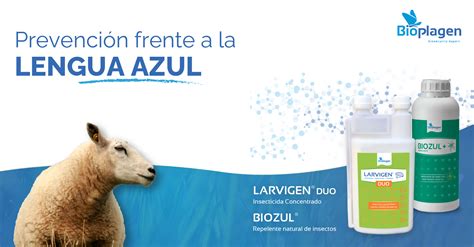 Actualidad Sobre Lengua Azul Claves Para Su Prevenci N Bioplagen