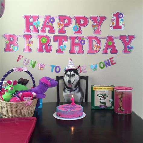 Siberian Husky Birthday Party Love It Huskyfunny Fiestas De