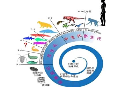 简述：地球上生命的演化过程——是否进化？ 知乎