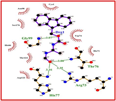 B Ligplot Analysis Results Of Glucosamine Phosphate Synthase With