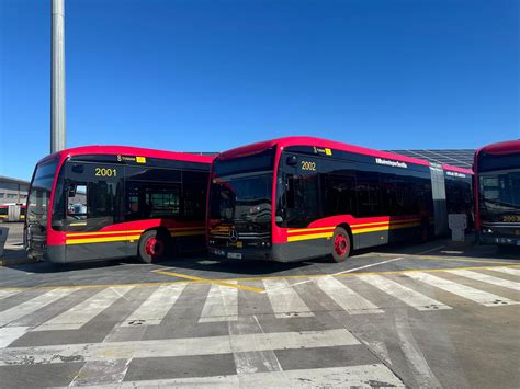 Tussam Apuesta Por El Transporte P Blico Con Nuevos Autobuses