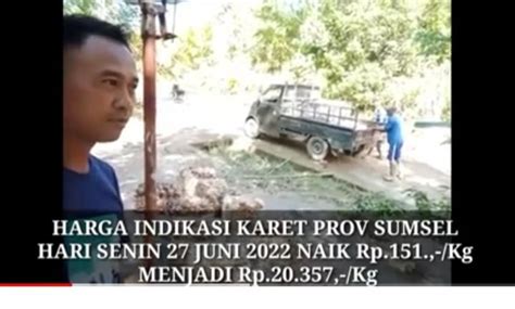 Harga Karet Sumsel Hari Ini Rp20 357 Kg Naik Rp151 Kg 27 Juni 2022