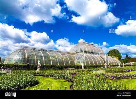 Palm House Kew Garden Hi Res Stock Photography And Images Alamy