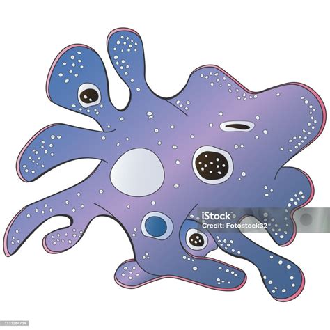 Purple Amoeba Proteus Protozoan Isolated White Background向量圖形及更多contractile Vacuole圖片 Istock