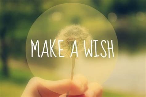 Make A Wish Quote Flowers Dandelion Make A Wish Flower Quotes Wish