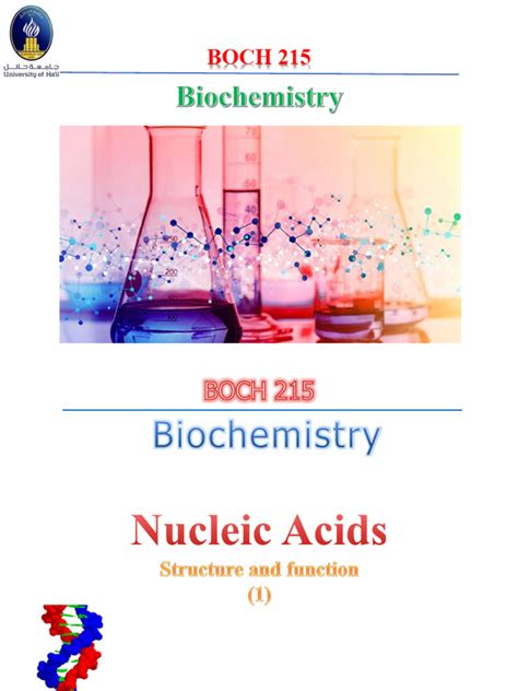 4 Chapter 4 Nucleic Acids Pdf Rna Dna