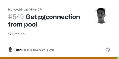 Get Pgconnection From Pool Issue Brettwooldridge Hikaricp Github