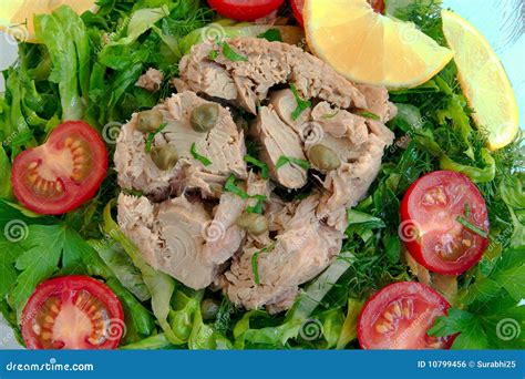 Tuna, tunny stock photo. Image of bowl, refreshment, salad - 10799456