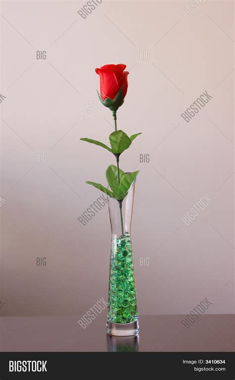 Plastic Rose Image And Photo Free Trial Bigstock