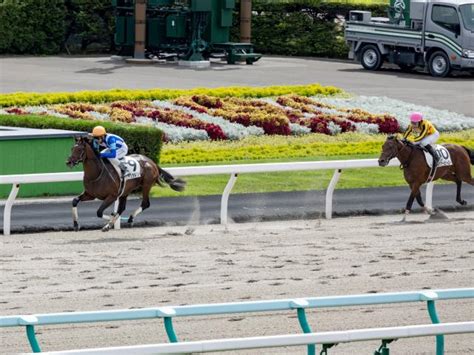 【2歳未勝利】 札幌2r ダートに替えたナチュラルリバーがよく伸びて圧勝 競馬ニュース Netkeiba