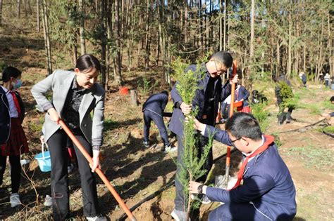 县四套班子领导开展义务植树活动 商南县人民政府