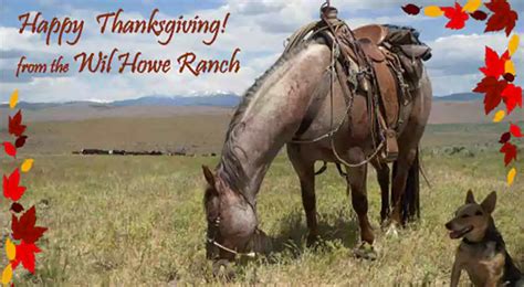 50+ Happy Thanksgiving Horse Images Free Download 2023 - QuotesProject.Com