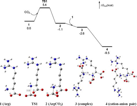 Carbon Dioxide Capture By Amino Acids Through An Argininearginine