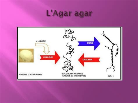 PPT - La cuisine moléculaire PowerPoint Presentation, free download