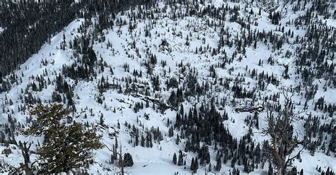 Muere Un Esquiador Y Otros Dos Resultan Heridos En Una Gran Avalancha