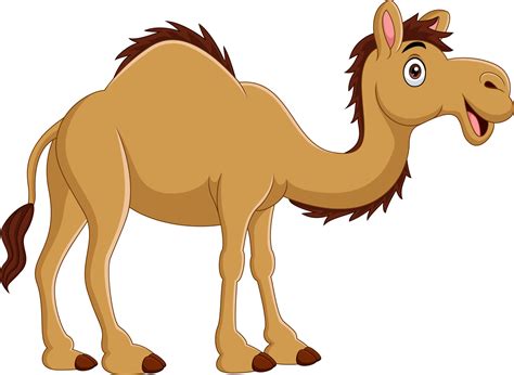 Cartoon Camel Isolated On White Background 5158014 Vector Art At Vecteezy