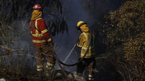 Alerta Roja Por Incendio Forestal En Galvarino 24horas