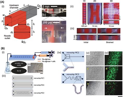 Microfluidic Bioprinting Chips A I Schematic Of A Microfluidic