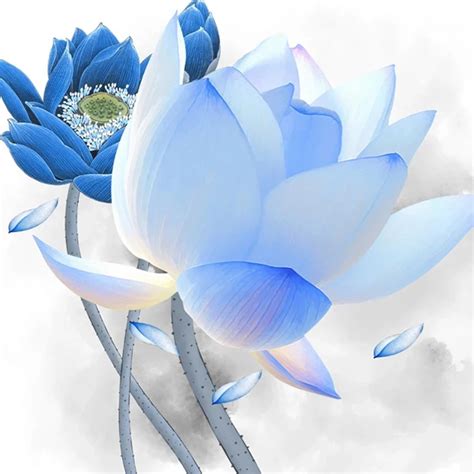 Blue Lotus Flower Wallpaper